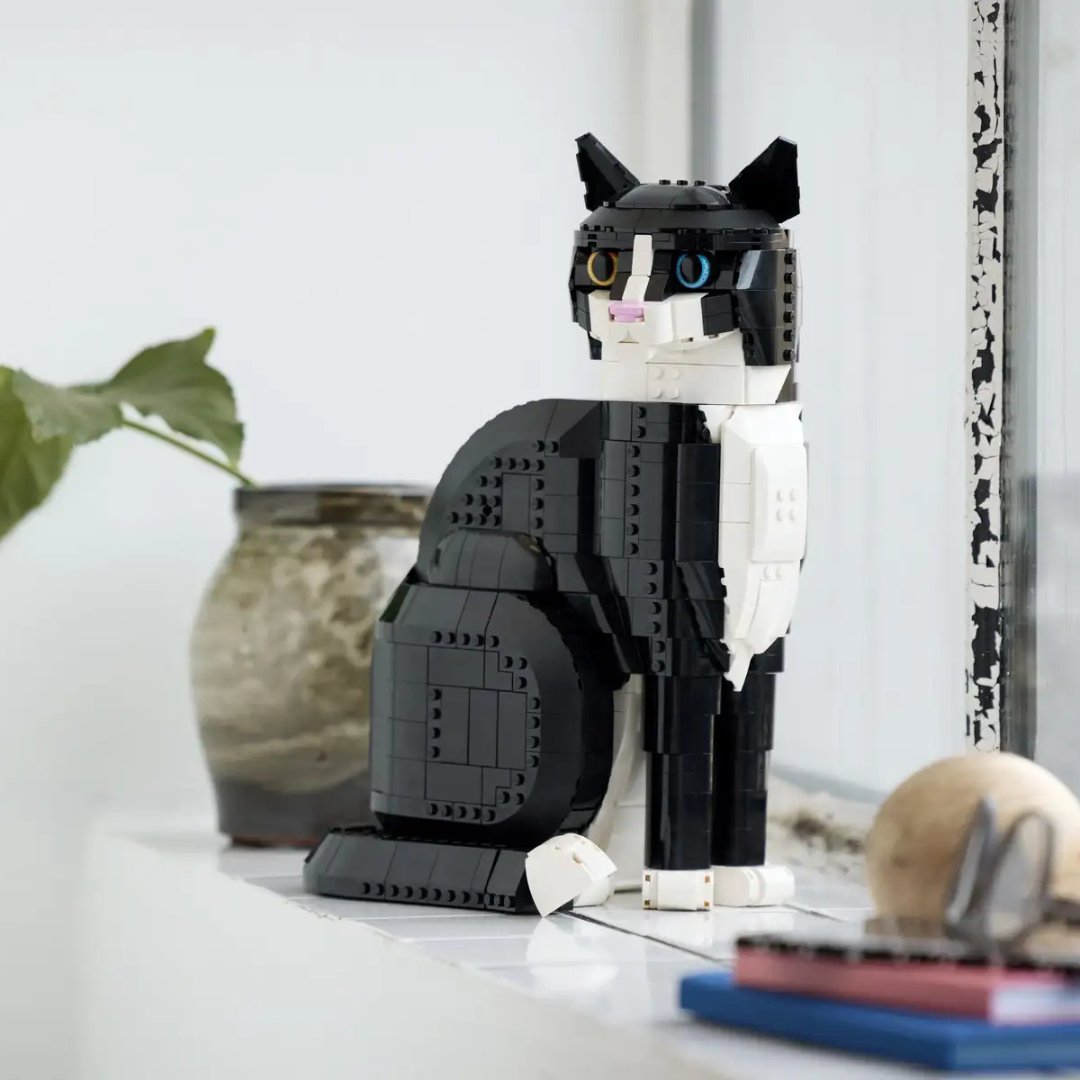Tuxedo Cat