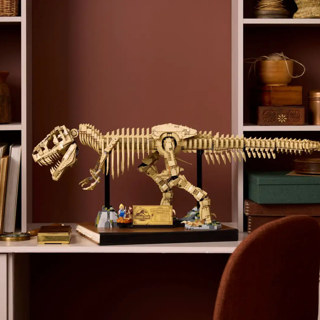 Dinosaur Fossils: Tyrannosaurus rex