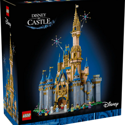 Disney Castle